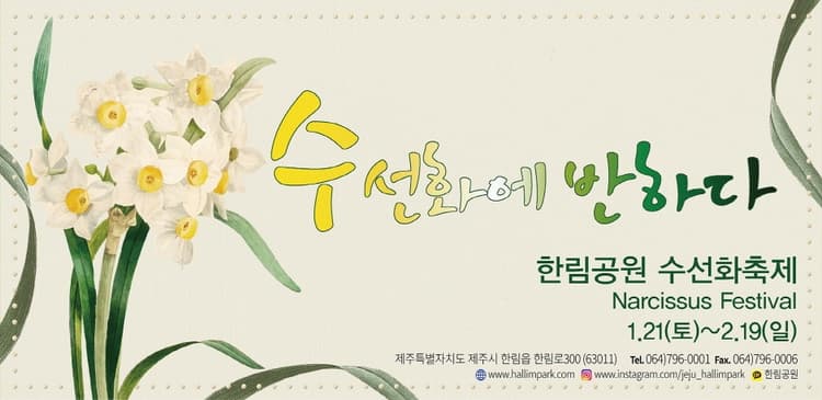 제주 한림공원 수선화 축제