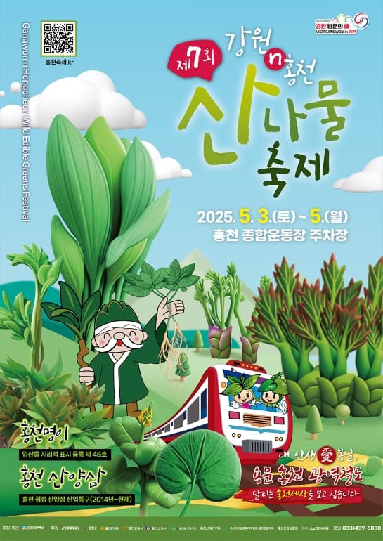 강원n 홍천 산나물축제