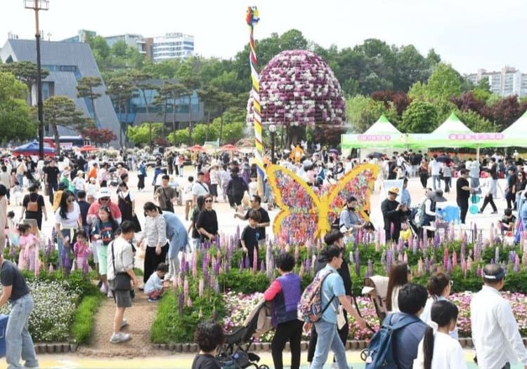 함평나비대축제