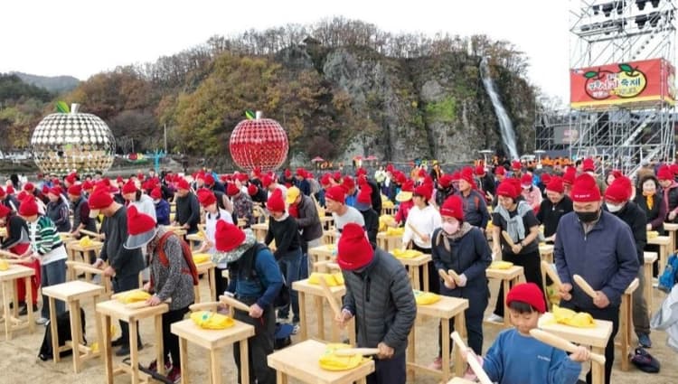 청송사과축제
