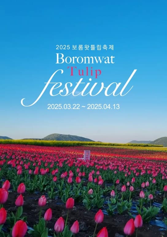 보롬왓 튤립축제