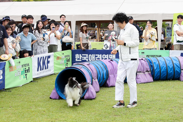 반려동물이랑 어디까지 놀아봤니? 9월, 이천서 펫축제 열린다